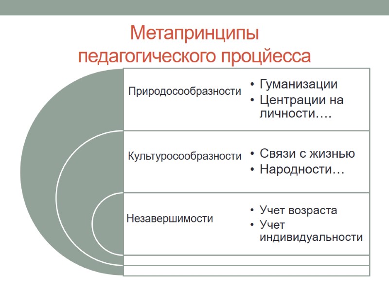 Метапринципы  педагогического процйесса